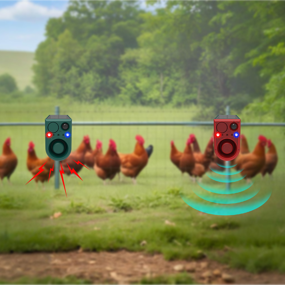 Solar Motion Sensor Animal Rep - Outdoor Lighting With Motion Sensor recension och pris