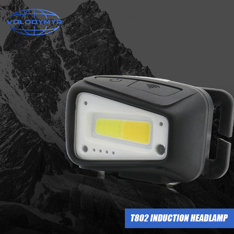 VOLODYMYR Waterproof COB LED H - Outdoor Lighting With Motion Sensor recension och pris